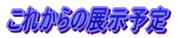 ���ꂩ��̓W���\��